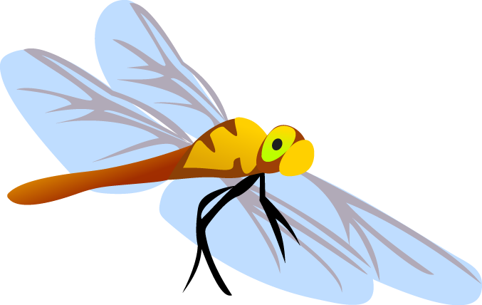 free vector Free Vector Butterfly